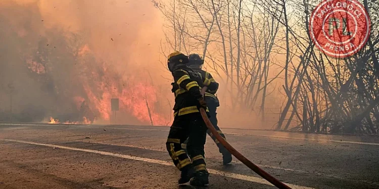 21 mil damnificados y 21 fallecidos deja ola de incendios forestales