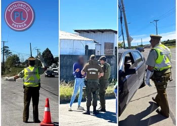 Operativo en Alerce termina con 10 detenidos y 41 infracciones viales
