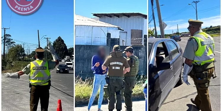 Operativo en Alerce termina con 10 detenidos y 41 infracciones viales