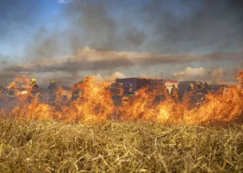 Ataque armado a Bomberos en Angol: Institución confirma disparos y retira sus unidades
