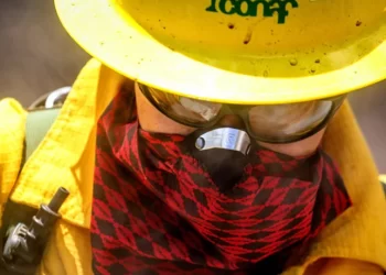 Actualizan alerta temprana preventiva en la Región de Los Lagos por riesgo de incendios forestales