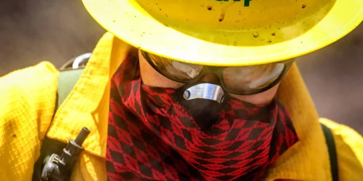 Actualizan alerta temprana preventiva en la Región de Los Lagos por riesgo de incendios forestales