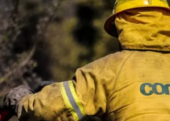 Río Negro llama a reforzar medidas preventivas ante alto riesgo de incendios forestales