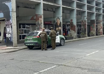 En Osorno capturaron a un menor por receptación y recuperaron radio robada desde auto