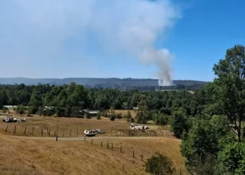 Incendio forestal afecta fundo en límite de Río Negro y Purranque