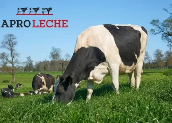 Aproleche Osorno estrena su nueva imagen de marca