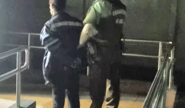 Carabineros de La Unión detiene a sujeto con amplio prontuario tras robo en sector Cuesta Cudico