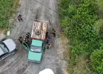 PDI detiene a dos sujetos por robo de madera en predio forestal de Mariquina
