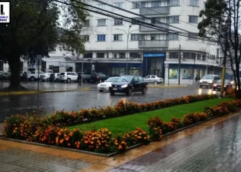 Concejala exige fin a estacionamientos reservados para funcionarios municipales en Osorno