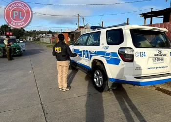 Crimen en Osorno: PDI indaga homicidio en Campamento Dignidad