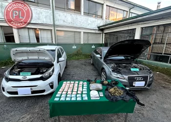 Operativo antidrogas de la SIP en Osorno: 5 detenidos