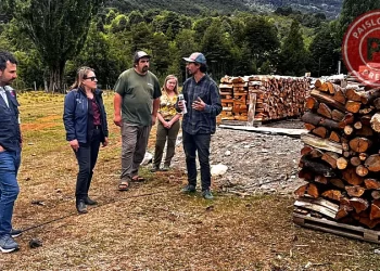 Leña certificada en Los Lagos: Inversión estatal supera los $311 millones