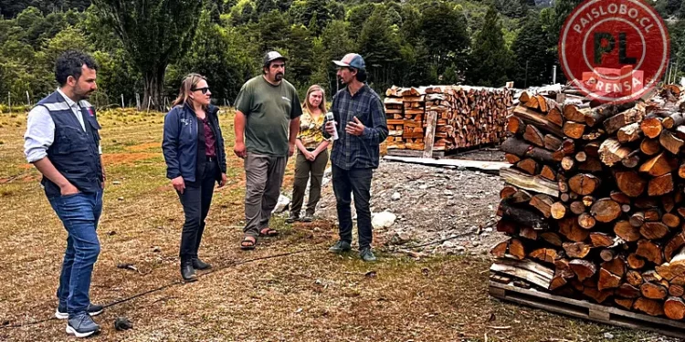 Leña certificada en Los Lagos: Inversión estatal supera los $311 millones
