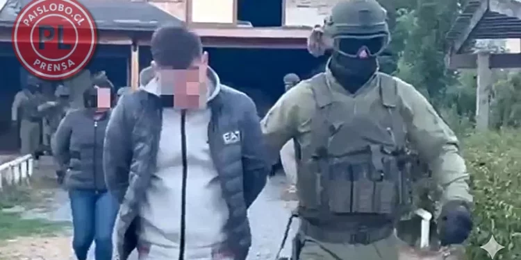 Caen 10 integrantes de banda narco que abastecía al sur de Chile