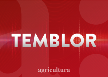 Fuerte temblor despertó a los habitantes de la zona norte del país