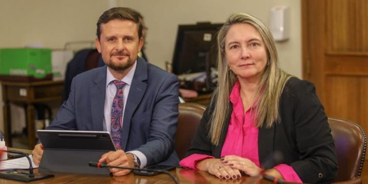 Diputados cuestionan candidatura de Bachelet a la ONU en plena transición presidencial
