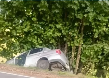 Accidente fatal en ruta de la comuna de Puerto Varas