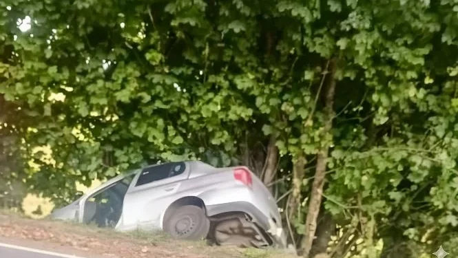 Accidente fatal en ruta de la comuna de Puerto Varas