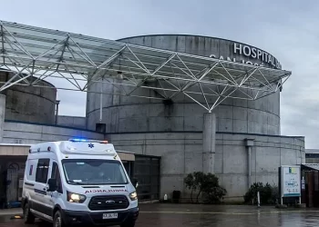 Confirman caso de virus hanta en un hombre de 74 años en Osorno
