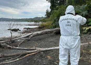 Encuentran cadáver de un hombre en Frutillar Bajo