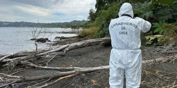 Encuentran cadáver de un hombre en Frutillar Bajo