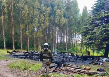 Hallan cuerpo calcinado tras incendio en la comuna de Fresia