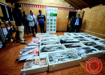 Incautan pescados y mariscos ilegales en bus en Casma