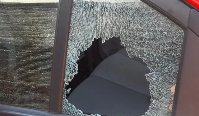 Osorno: Delincuentes sustraen pasaporte y pasajes