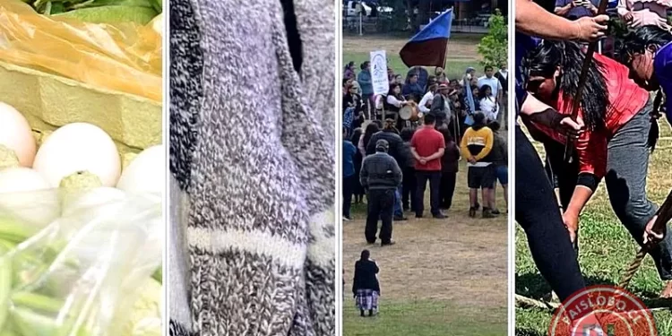 Parque Chuyaca albergará la XIII Muestra Cultural Mapuche Huilliche