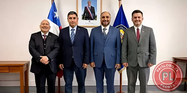 Nuevos Delegados Presidenciales Los Lagos 2026