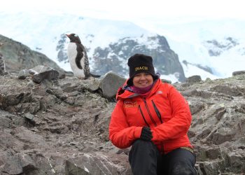 Científica ULagos lidera estudio que redefine al pingüino papúa: evidencia genética confirma cuatro especies