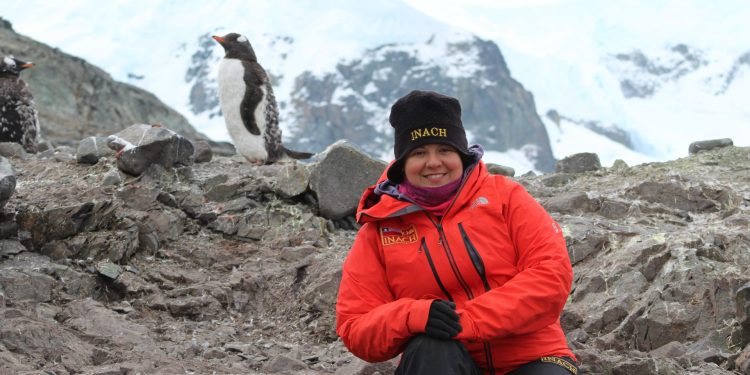 Científica ULagos lidera estudio que redefine al pingüino papúa: evidencia genética confirma cuatro especies