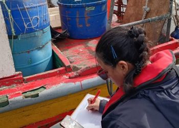 Controles de Sernapesca y Red Sustenta permiten detectar 84,1 toneladas comercializadas de productos del mar ilegales