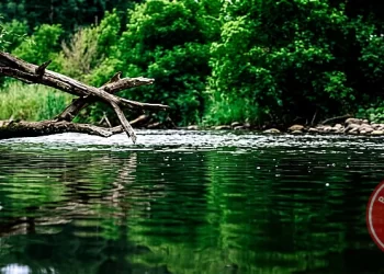 Rechazo a AquaChile en Río Bueno por megaproyecto en el río