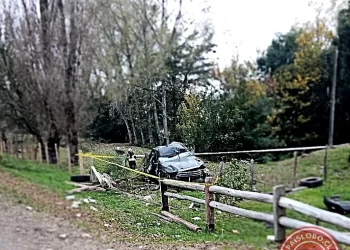 Accidente fatal en Río Bueno: Conductor muere tras volcar en sector Chirre