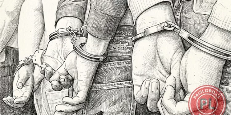 Cuatro detenidos tras violento asalto armado y persecución en Purranque