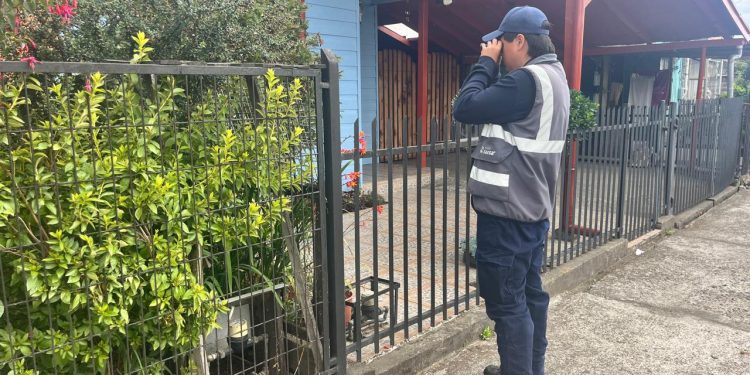 Saesa informa que perros sueltos son el principal riesgo para lectores de medidores