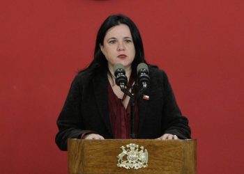 Ministra Steinert plantea sumar 12 mil carabineros y reforzar tecnología en seguridad