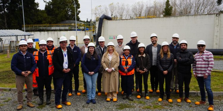 Lanzan en Chile inédito proyecto para combatir la acidificacióndel océano mediante reutilización de conchas de choritos