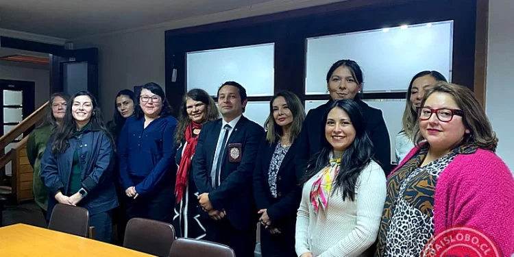 Femicidios en Los Lagos: Activan nueva red de apoyo integral para víctimas
