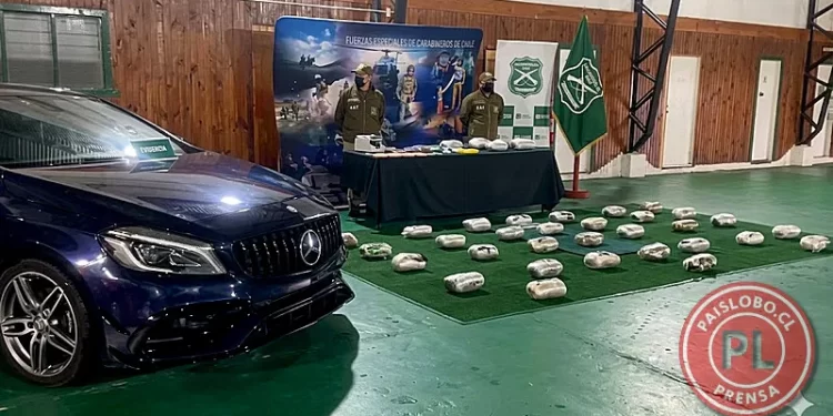 Desbaratan red de narcotráfico que operaba en Los Lagos y Los Ríos