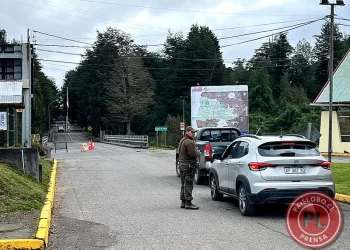 Paso Cardenal Samoré: sube el transporte de carga y bajan los turistas