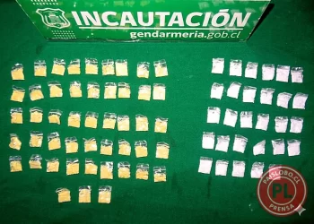 Incautación de drogas en Cárcel de Osorno
