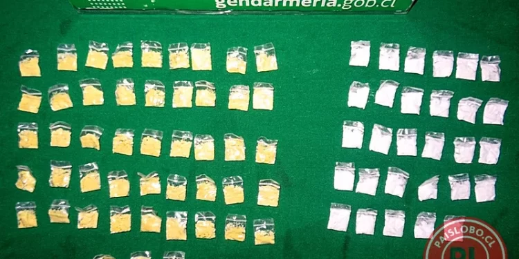 Incautación de drogas en Cárcel de Osorno