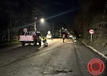 Atropello fatal en Osorno | Hombre muere tras ser embestido en Ruta Pilauco