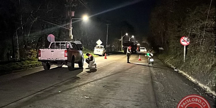 Atropello fatal en Osorno | Hombre muere tras ser embestido en Ruta Pilauco
