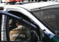 Tres detenidos por traslado de 20 kilos de carne sin acreditación de origen en Puyuehue