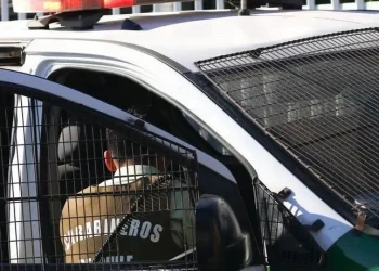 Tres detenidos por traslado de 20 kilos de carne sin acreditación de origen en Puyuehue