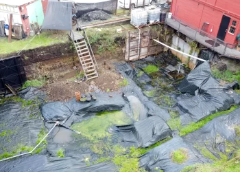 ULagos asumirá liderazgo para continuar con las investigaciones científicas en el sitio Pilauco de Osorno