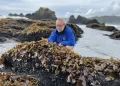 Algas, cambio climático y el desafío de hacer ciencia en el sur